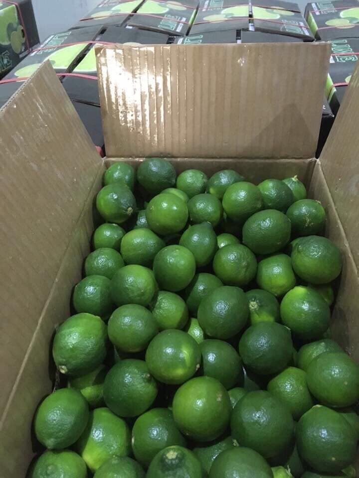 Fresh Lime
